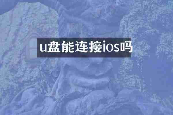 u盘能连接ios吗