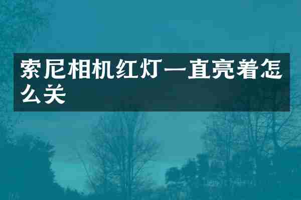 索尼相机红灯一直亮着怎么关