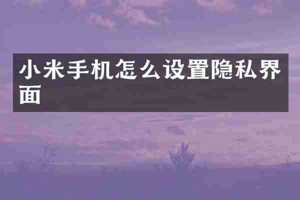 小米手机怎么设置隐私界面
