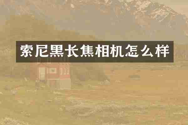 索尼黑长焦相机怎么样