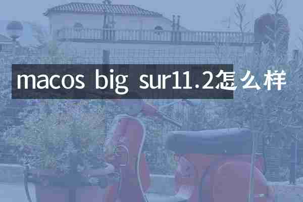 macos big sur11.2怎么样