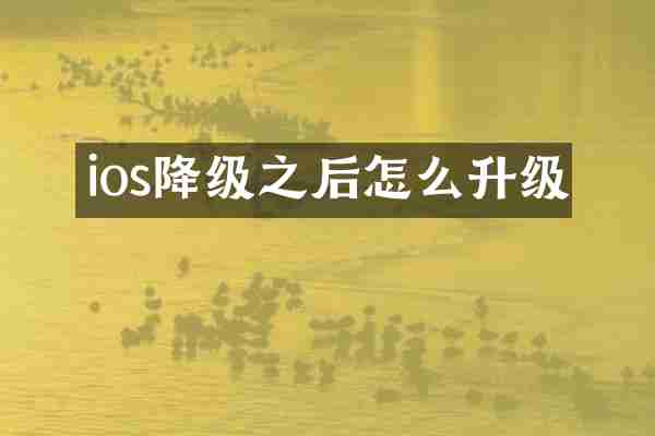 ios降级之后怎么升级