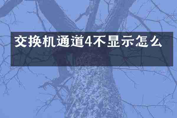 交换机通道4不显示怎么办