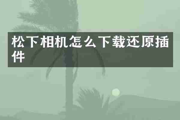 相机怎么下载还原插件