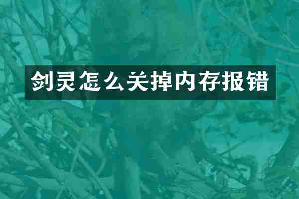 剑灵怎么关掉内存报错