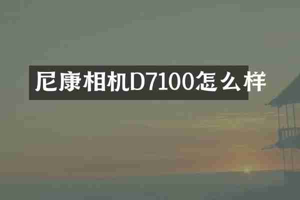 尼康相机D7100怎么样