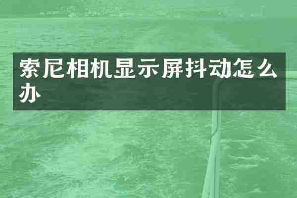 索尼相机显示屏抖动怎么办