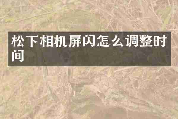 松下相机屏闪怎么调整时间