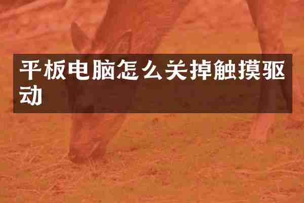 平板电脑怎么关掉触摸驱动