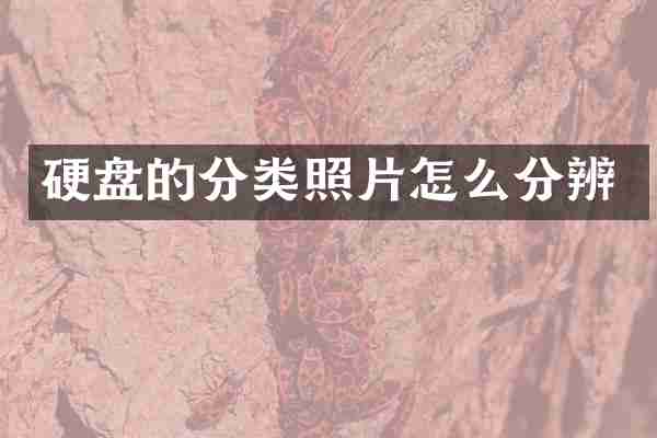 硬盘的分类照片怎么分辨