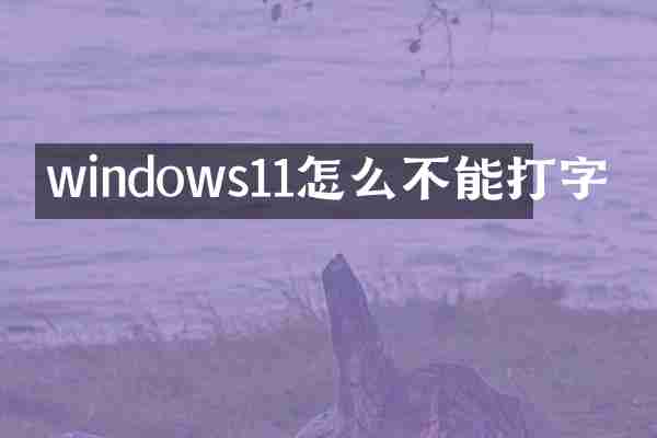 windows11怎么不能打字