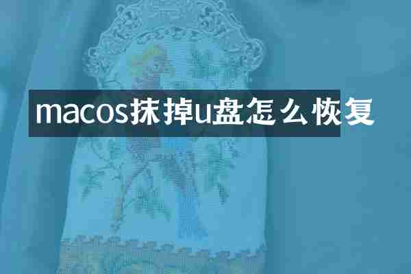 macos抹掉u盘怎么恢复