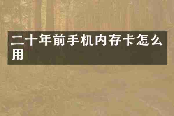 二十年前手机内存卡怎么用