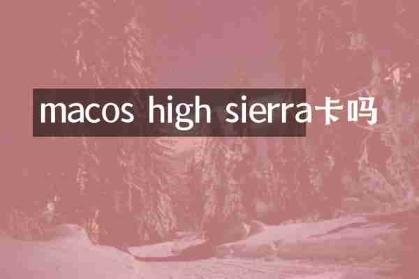 macos high sierra卡吗