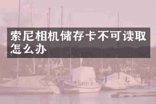 索尼相机储存卡不可读取怎么办