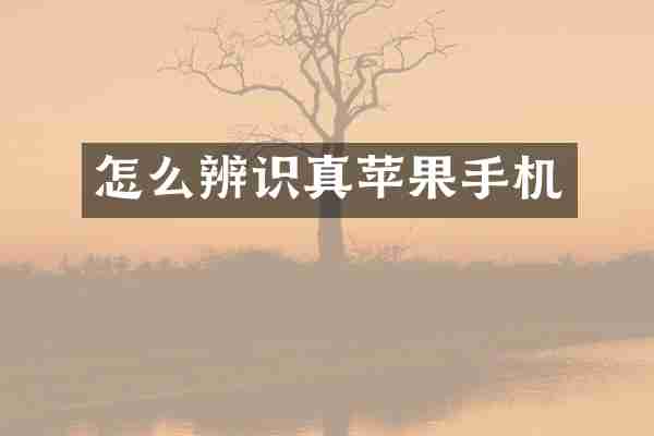 怎么辨识真苹果手机