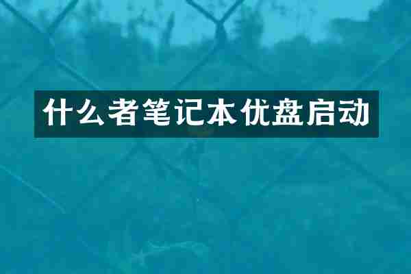 什么者笔记本优盘启动