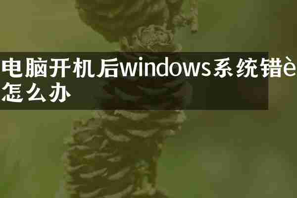 电脑开机后windows系统错误怎么办