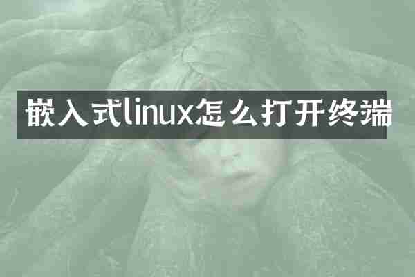 嵌入式linux怎么打开终端