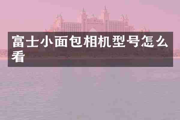 富士小面包相机型号怎么看