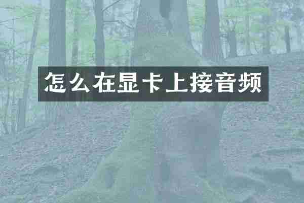 怎么在显卡上接音频