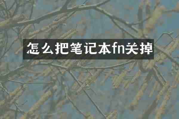 怎么把笔记本fn关掉