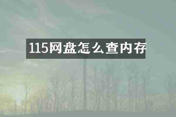 115网盘怎么查内存