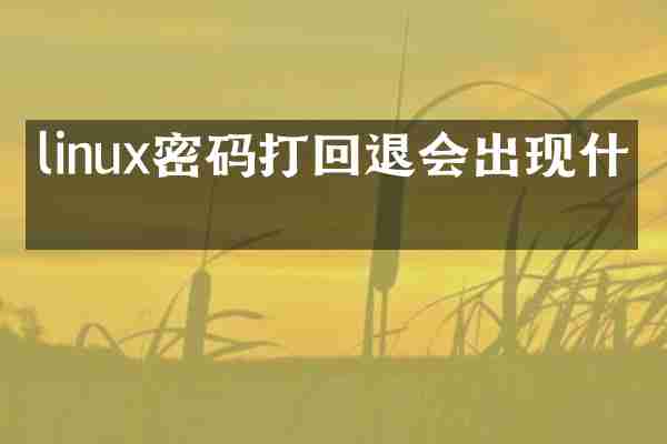 linux密码打回退会出现什么