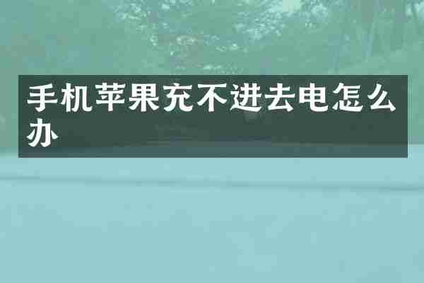 手机苹果充不进去电怎么办