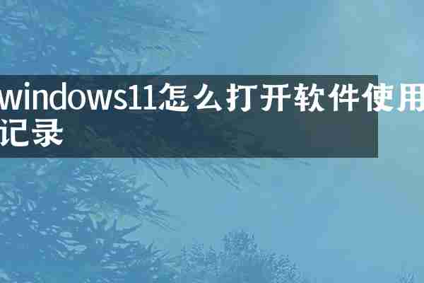 windows11怎么打开软件使用记录