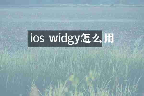 ios widgy怎么用