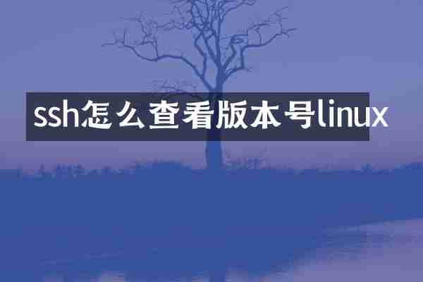 ssh怎么查看版本号linux