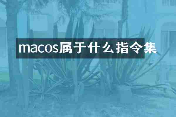 macos属于什么指令集