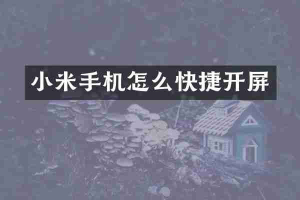 小米手机怎么快捷开屏