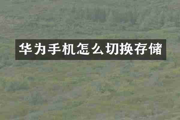 华为手机怎么切换存储