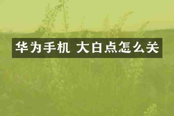 华为手机 大白点怎么关