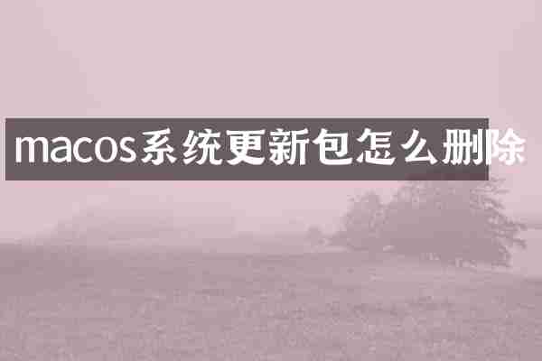 macos系统更新包怎么删除