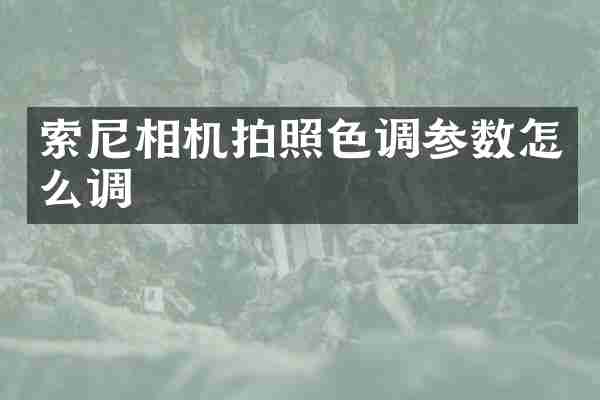 索尼相机拍照色调参数怎么调