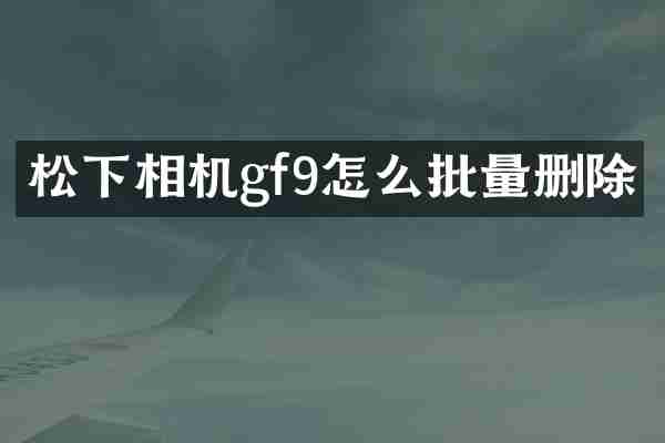 松下相机gf9怎么批量删除