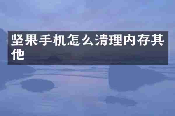 坚果手机怎么清理内存其他