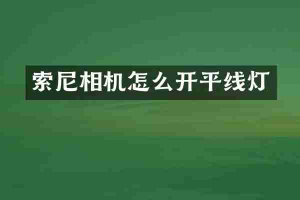索尼相机怎么开平线灯