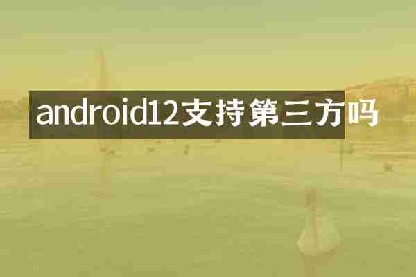android12支持第三方吗