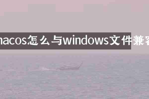 macos怎么与windows文件兼容