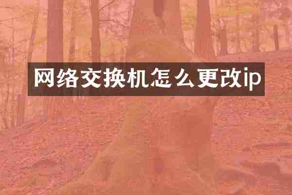 网络交换机怎么更改ip