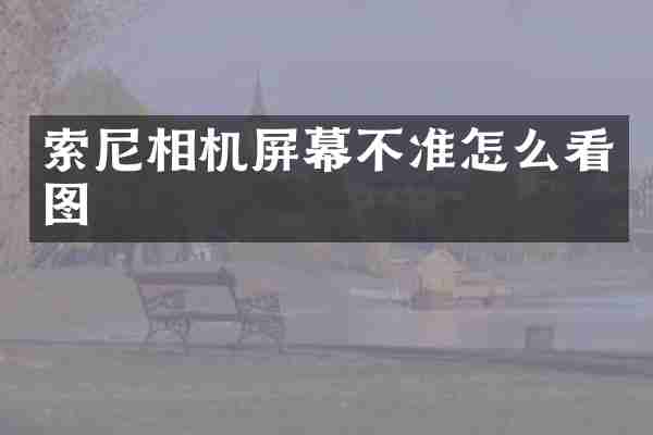 索尼相机屏幕不准怎么看图