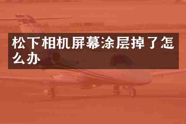 松下相机屏幕涂层掉了怎么办