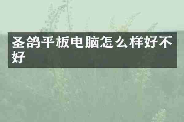 圣鸽平板电脑怎么样好不好