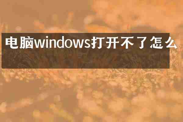 电脑windows打开不了怎么办