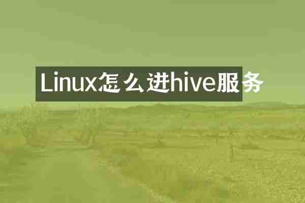 Linux怎么进hive服务