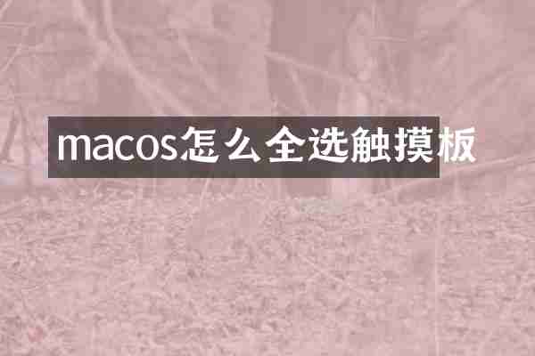 macos怎么全选触摸板